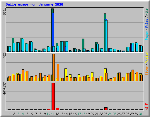 Daily usage for January 2026