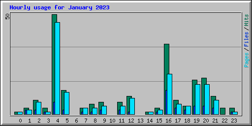 Hourly usage for January 2023