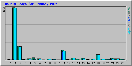 Hourly usage for January 2024