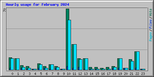 Hourly usage for February 2024