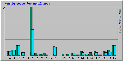 Hourly usage for April 2024