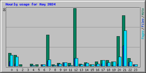 Hourly usage for May 2024