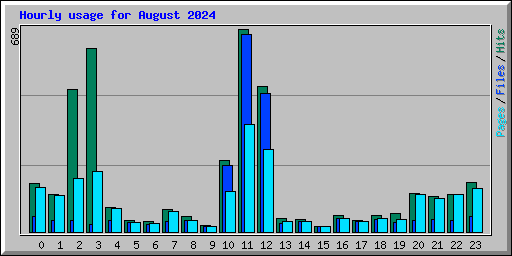 Hourly usage for August 2024