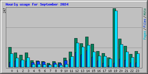 Hourly usage for September 2024