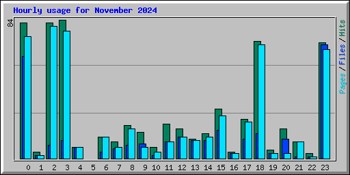 Hourly usage for November 2024