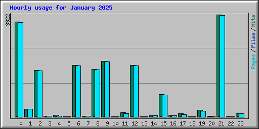 Hourly usage for January 2025