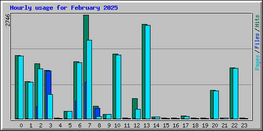 Hourly usage for February 2025