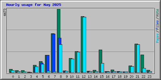 Hourly usage for May 2025