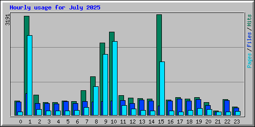 Hourly usage for July 2025