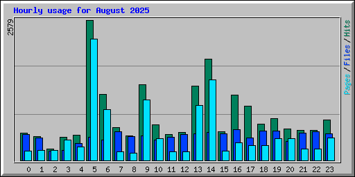 Hourly usage for August 2025
