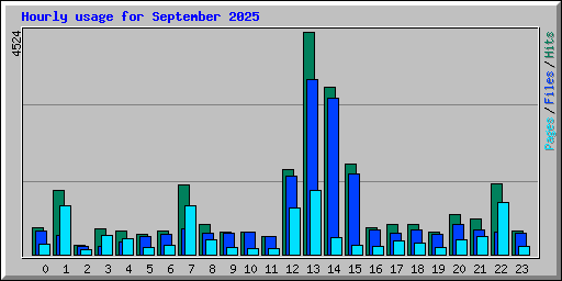 Hourly usage for September 2025