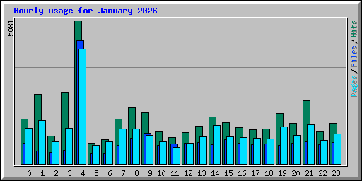 Hourly usage for January 2026