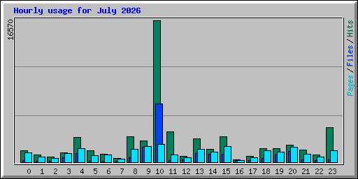 Hourly usage for July 2026