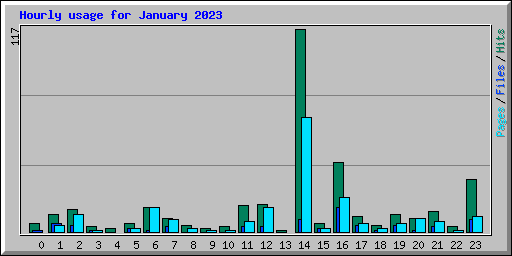 Hourly usage for January 2023