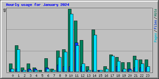 Hourly usage for January 2024