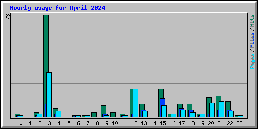 Hourly usage for April 2024