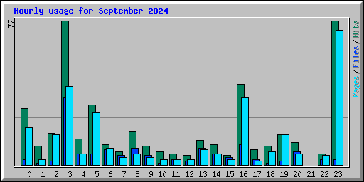 Hourly usage for September 2024