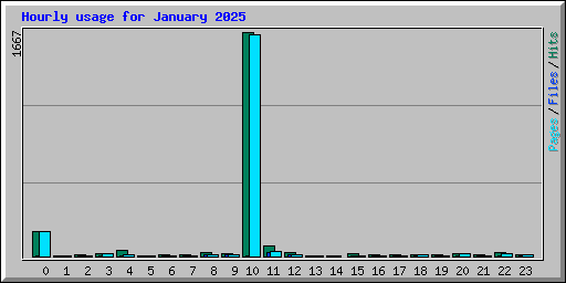Hourly usage for January 2025