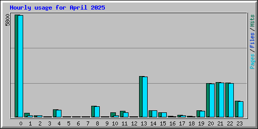 Hourly usage for April 2025