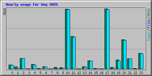 Hourly usage for May 2025