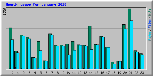 Hourly usage for January 2026
