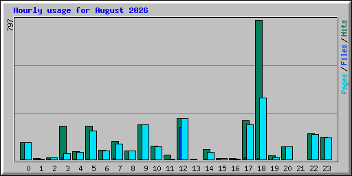 Hourly usage for August 2026