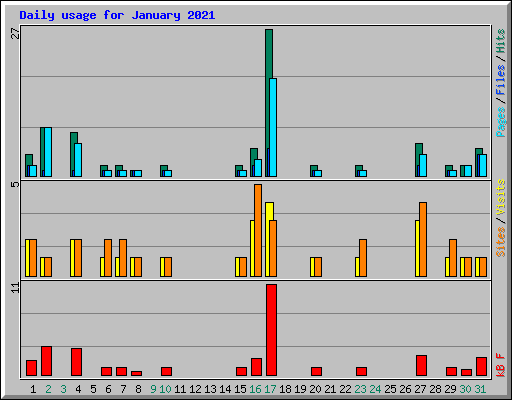 Daily usage for January 2021