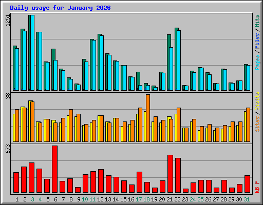 Daily usage for January 2026