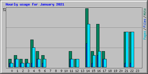 Hourly usage for January 2021