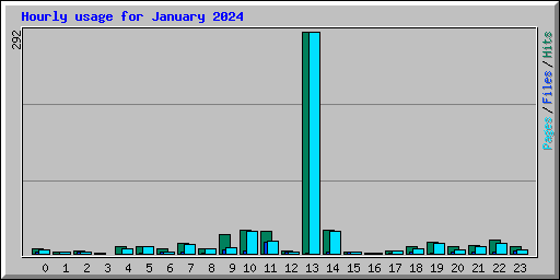 Hourly usage for January 2024