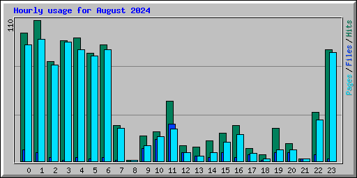 Hourly usage for August 2024