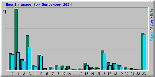 Hourly usage for September 2024