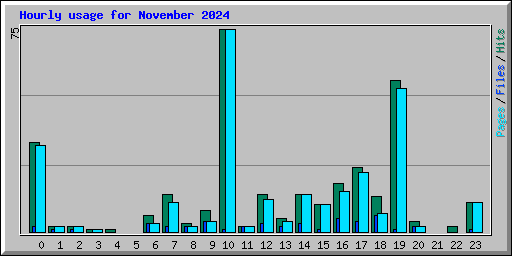 Hourly usage for November 2024