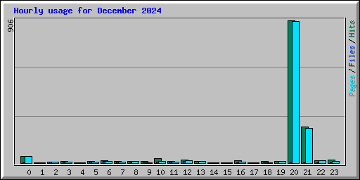 Hourly usage for December 2024