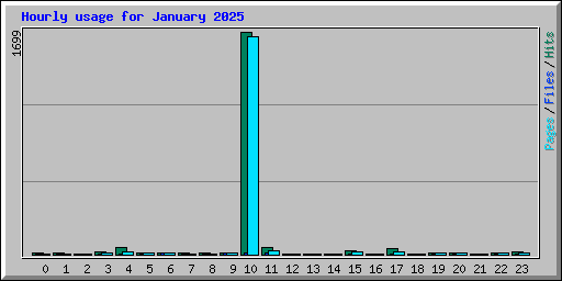 Hourly usage for January 2025