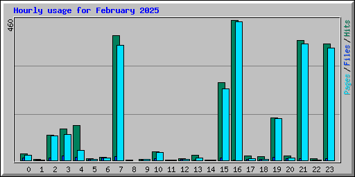Hourly usage for February 2025