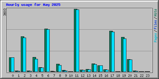 Hourly usage for May 2025