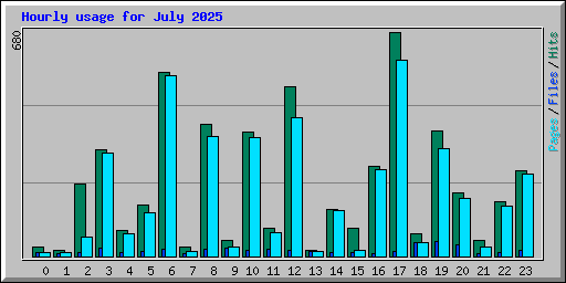 Hourly usage for July 2025