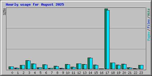 Hourly usage for August 2025