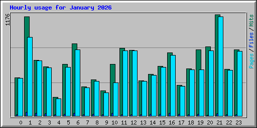Hourly usage for January 2026