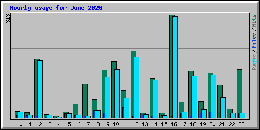 Hourly usage for June 2026