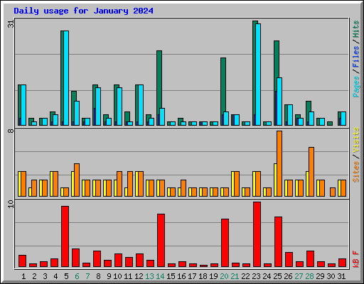 Daily usage for January 2024