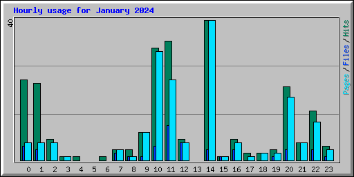 Hourly usage for January 2024