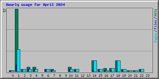 Hourly usage for April 2024