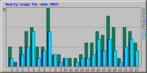 Hourly usage for June 2024