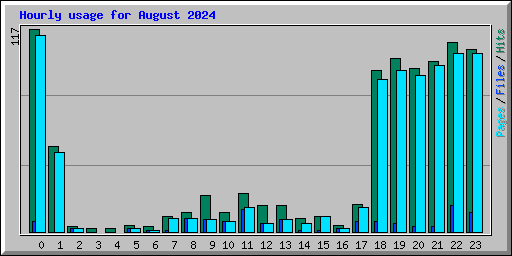 Hourly usage for August 2024