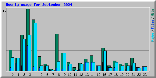 Hourly usage for September 2024