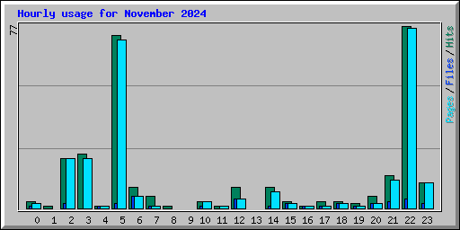 Hourly usage for November 2024