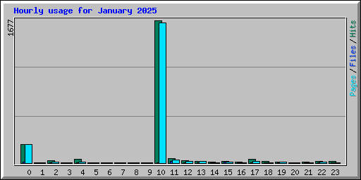 Hourly usage for January 2025