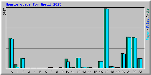 Hourly usage for April 2025
